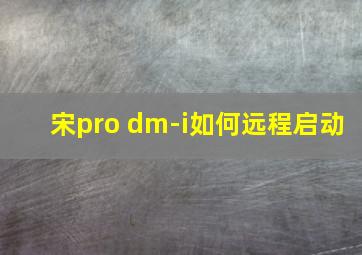 宋pro dm-i如何远程启动